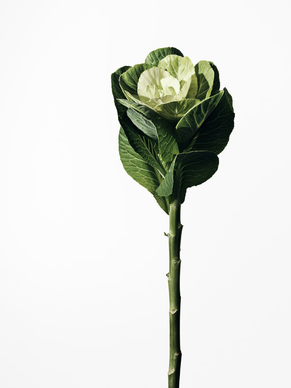 THE NUORI DIFFERENCE